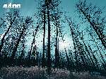 2707 photo
