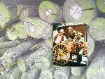 98 photo