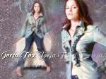 340 photo
