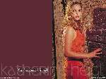 729 photo