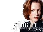 490 photo