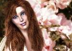 2052 photo