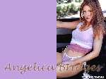 3197 photo