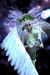 804 photo