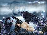 824 photo