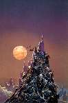 4396 photo