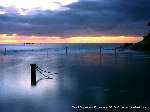 2888 photo