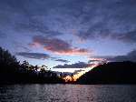 2918 photo
