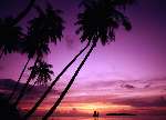 2901 photo