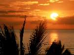 2898 photo