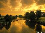 2903 photo