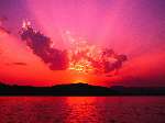 2911 photo