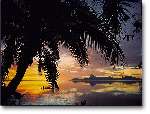 2906 photo