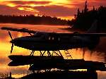 2910 photo
