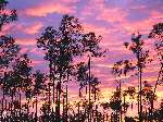 2912 photo