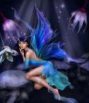 860 photo