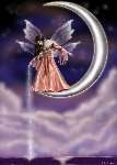 865 photo