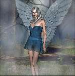 870 photo