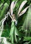 876 photo