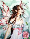 905 photo