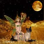925 photo