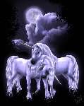960 photo