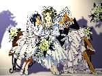 380 photo