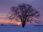 4537 photo