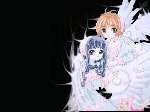 433 photo