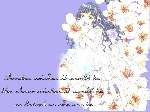 436 photo